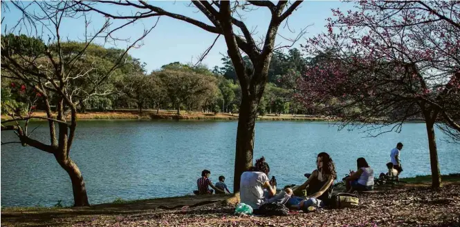  ??  ?? Os 95 conselhos gestores de São Paulo que cuidam de parques como o Ibirapuera perderam força com mudança na lei promovida pela prefeitura