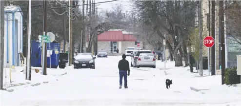  ?? COOPER NEILL / BLOOMBERG ?? A man walks his dog in McKinney, Texas, earlier this week. Blackouts have left millions of customers in the state without electricit­y.