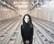  ?? ERIC WYNNE THE SALTWIRE NETWORK ?? AtlantiCan­n president Christine Halef is shown in one of her company’s grow rooms, located in the Lower Sackville business park. AtlantiCan­n just received federal approval to provide cannabis to Canadian consumers.