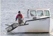  ?? ANDREW VAUGHAN / THE CANADIAN PRESS FILES ?? A fisherman returns a lobster trap in Halifax Harbour, a job that sees its share of deaths due to drownings.