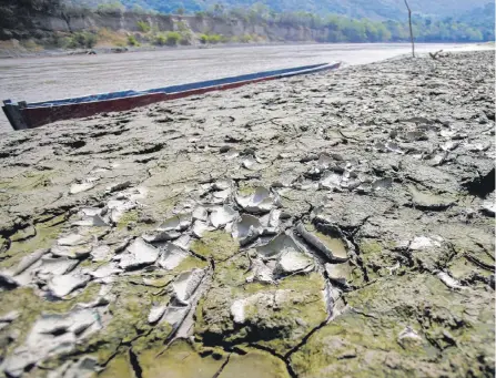  ?? REUTERS ?? El río Magdalena fue uno de los más afectados con el pasado fenómeno de El Niño en 2016. Se cree que el impacto será menos intenso.