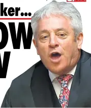  ??  ?? OUT OF ORDER: Bercow is to be on show with kinky title