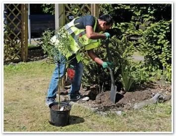  ?? PAUL BIGLAND. ?? New tree planting takes place in the station garden at Elmstead Woods.