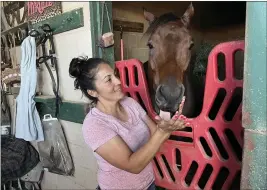  ?? PHOTO BY KEVIN MODESTI ?? Trainer Angie Aquino visits with Around the Dial, an 8-year-old thoroughbr­ed gelding, at her barn at Los Alamitos Race Course in Cypress. Aquino is the top trainer at Los Al.