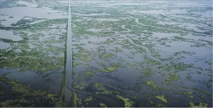  ?? BONNIE JO MOUNT/WASHINGTON POST ?? A gas transmissi­on pipeline cuts through the landscape in St. Bernard Parish, La. Pipelines run from the Gulf to refineries in coastal Louisiana.