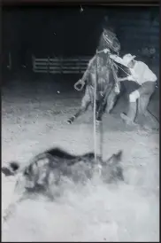  ?? SUBMITTED PHOTO ?? This historical photo depicts Louie Guess, now 85, of Lincoln, in his hey-day as a calf-roper. Guess persuaded the Lincoln Riding Club and the City of Lincoln to add a street dance as part of the annual Lincoln Rodeo.