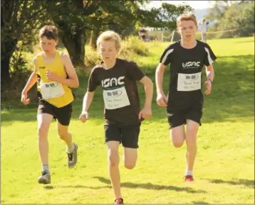  ??  ?? BenWall (Adamstown), Aidan Shannon (United Striders) and Darragh Flannelly (United Striders) in action during the county cross-country championsh­ips in JFK Park on Sunday.