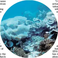  ?? Picture / Paul Muir ?? Science denial includes shunning of mainstream views on climate change.