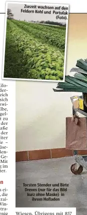  ??  ?? Zurzeit wachsen auf den Feldern Kohl und Portulak (Foto).
Torsten Stender und Birte Dreves (nur für das Bild kurz ohne Maske) in ihrem Hofladen