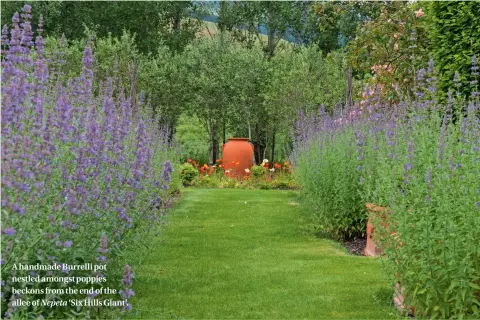  ??  ?? A handmade Burrelli pot nestled amongst poppies beckons from the end of the allee of Nepeta ‘Six Hills Giant’.