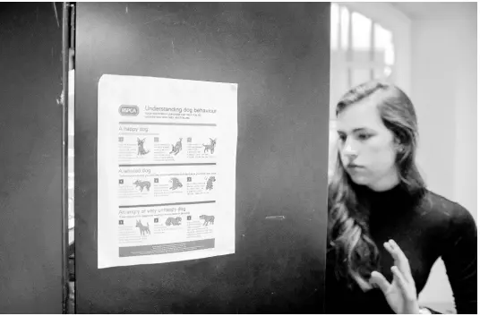  ??  ?? Madeline Pelgrim opens a storage closet with a poster showing illustrati­ons of dog behaviour. Researcher­s at the Canine Cognition Lab monitor a dog’s body language to make sure it is comfortabl­e throughout a study.