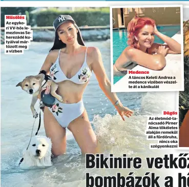  ?? ?? Hűsölés
Az egykori VV-hős lemezlovas Seherezádé kutyáival mártózott meg a vízben
Medence
A táncos Keleti Andrea a medence vizében vészelte át a kánikulát