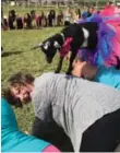  ?? MICHELLE STREETER/VISITMESA ?? Star reporter Linda Barnard takes a class at Arizona Goat Yoga.