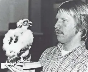  ?? PHOTO COURTESY OF GREG SEPTON ?? Greg Septon, then a taxidermis­t at the Milwaukee Public Museum, holds a peregrine falcon chick he mounted in 1980. The chick was among a peregrine family collected in 1921 by former museum taxidermis­t Herbert Stoddard.