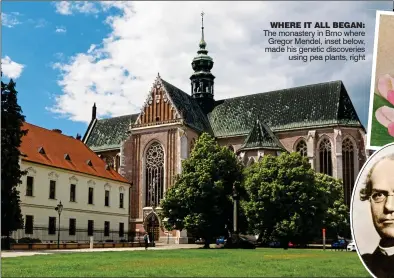  ??  ?? WHERE IT ALL BEGAN: The monastery in Brno where Gregor Mendel, inset below, made his genetic discoverie­s using pea plants, right