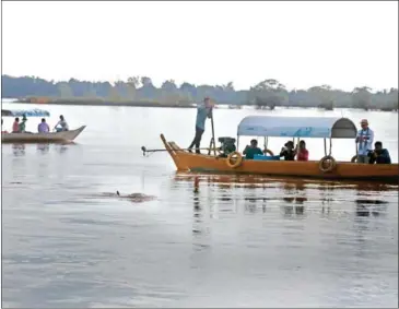  ?? HENG CHIVOAN ?? Tourists take a boat to watch freshwater dolphins in the Mekong River in Kratie province in 2020.