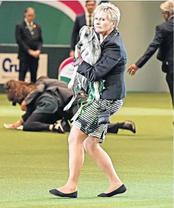  ??  ?? Yvette Short clutches her prize-winning whippet after a protester ran on to the arena and was tackled by security staff