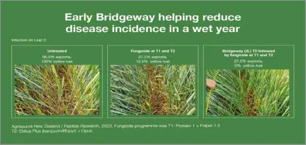  ?? ?? Early Bridgeway reducing disease incidence