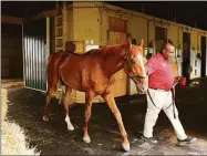  ?? Sarah Stier / Getty Images ?? Rich Strike is walked by hot walker Jerry Dixon Sr. after a morning workout Thursday before the Belmont Stakes at Belmont Park in Elmont, N.Y.