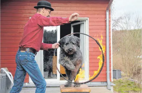  ?? FOTOS: ANNA ERNST ?? „Eins, zwei, drei. Und hopp“: Hirtenhund Joschka gehorcht seinem Herrchen Jürgen Seybold aufs Wort.