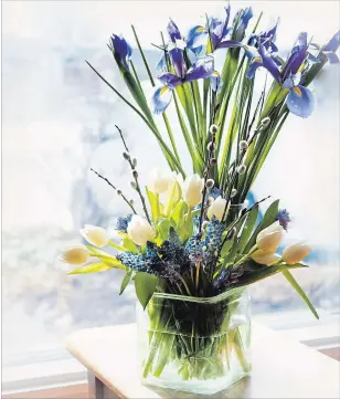  ?? THERESA FORTE SPECIAL TO THE REVIEW ?? Locally-grown spring flowers bring the promise of spring to a winter windowsill.