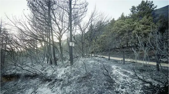  ?? EUROPA PRESS ?? Vista general de las consecuenc­ias del incendio en la sierra de Leyre (Navarra)