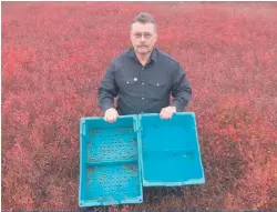  ??  ?? Le président du SPBQ, Daniel Gobeil, rappelle que les contenants de 30 livres, à droite, sont réservés aux bleuets cueillis en forêt, alors que ceux provenant des bleuetière­s, à gauche, doivent être placés dans des contenants de 40 livres.