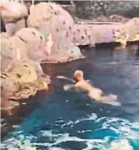  ?? YOUTUBE ?? A naked man was captured on video as he swam in the shark tank at Ripley's Aquarium in Toronto last week.