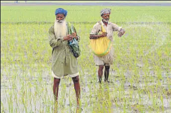  ?? HT FILE ?? The Capt Amarinder Singh government has opened a Pandora’s box on debt waiver, with the farmers and labourers who have been left out already up in arms.