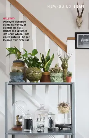  ??  ?? HALLWAY
Displayed alongside plants in a variety of planters are glass cloches and upturned jam jars in which JT has placed pictures – he got the idea from Pinterest