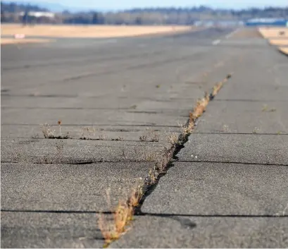  ?? CITIZEN PHOTO BY BRENT BRAATEN ?? Weeds grow in cracks in the apron that leads to runway 0119 at the Prince George Airport.