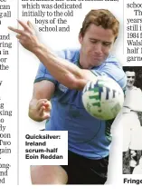  ?? ?? Quicksilve­r: Ireland scrum-half Eoin Reddan