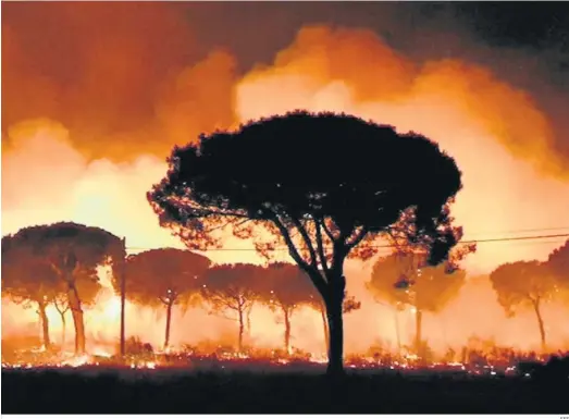  ?? EFE ?? Una de las impactante­s imágenes del incendio forestal de Doñana, en 2017.