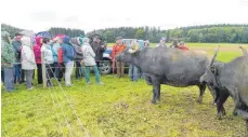  ?? FOTO: LANDFRAUEN ?? Der Höhepunkt des Ausflugs war der Besuch der Albbüffel.