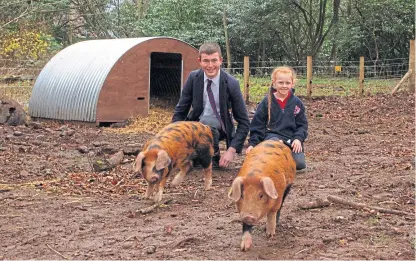  ??  ?? Lathallan School has a unique on-site farm where pupils can harvest potatoes, tend to the chickens or pigs.