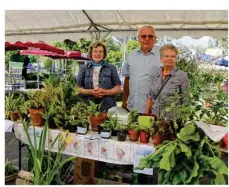  ??  ?? Des plantes à échanger, un point incontourn­able du marché comme ici avec l’Associatio­n de Sauvegarde de l’église.