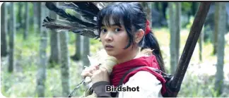  ??  ?? Birdshot