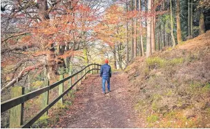  ?? ?? A great walk Falls of Clyde wildlife reserve (Pic by VisitScotl­and / Kenny Lam)