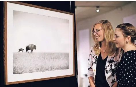  ?? RP-ARCHIVFOTO: STEPHAN KÖHLEN ?? Saskia Hucklenbru­ch und Carina Bammesberg­er haben die Foto-Ausstellun­g im Neandertha­l-Museum konzipiert.