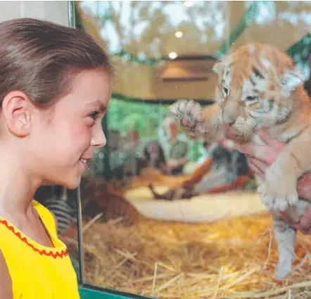  ??  ?? Lucy Newton at Dreamworld with Sita in November 1998 after winning a competitio­n to name the tiger.