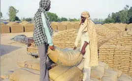  ?? BHARAT BHUSHAN/HT ?? Wheat bags being stacked in an open godown in Patiala on Sunday.