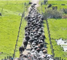  ?? Picture / Bloomberg ?? Farming is unrepresen­ted on the NZX, making access difficult for most New Zealanders.