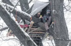  ?? FOTO: DAVID WEINERT ?? Das Baumhaus an der Karlstraße ist noch bis Sonntag von der Polizei geduldet – wie es dann weitergeht, ist noch nicht bekannt.