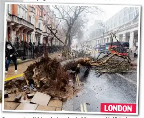  ??  ?? One-way street! A tree is ripped out of the ground in Victoria LONDON