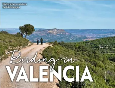  ??  ?? Birding in the mountains in the Valencia region