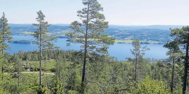  ?? DPA-BILD: Brigitte Geiselhart ?? Traumhaft schön: Die Aussicht vom 364 Meter hohen Tossebergs­klätten auf den Fryken-See.