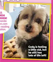  ?? ?? Cody is feeling a little old, but he still has lots of life left!