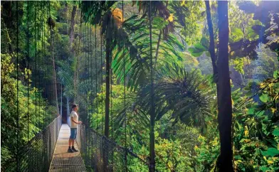  ??  ?? Looking for yourself Gazing out from the hanging bridges in Arenal National Park, Costa Rica; (below) looking for presents in Chinatown