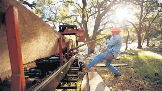  ?? Al Seib Los Angeles Times ?? BRENT CASHION of Logs to Lumber in Hidden Valley, Calif. Lumber mills bled jobs and cut paychecks as the housing market collapsed. Wages have begun to recover.