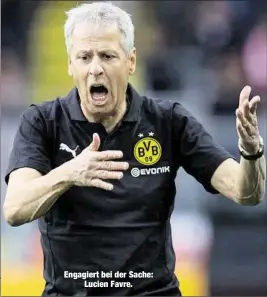  ??  ?? Engagiert bei der Sache:Lucien Favre.